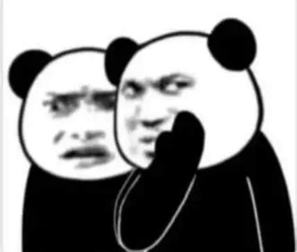 chinese panda meme|What's up with people on Reddit using these weird panda .